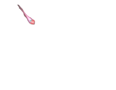 苍星妹妹-登场.gif